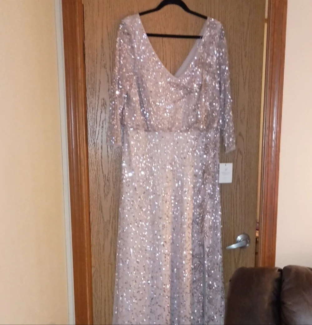 Adrianna Papell Gorgeous Sequin gown - Picture 3 of 7